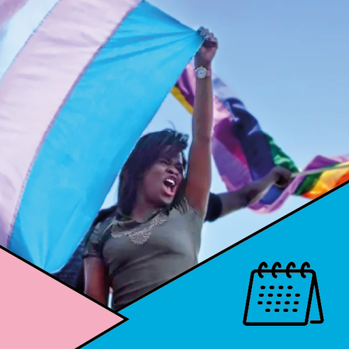 29 de janeiro - Dia Nacional da Visibilidade Trans