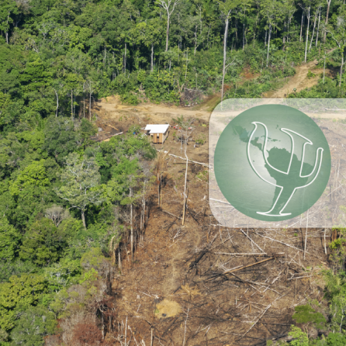 Manifesto Sobre o Maltrato da Região Amazônica - ULAPSI