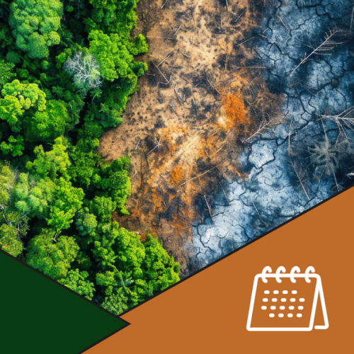 No Dia Mundial do Meio Ambiente, CRP SP reforça diretrizes para atuação frente às crises climáticas e sustentabilidade institucional