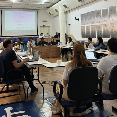 Defesa da Psicologia do Tráfego e proteção de dados em serviços de saúde pautam 2.532ª Plenária do CRP SP