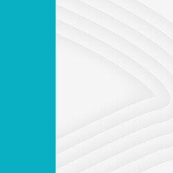 CRP SP convida a categoria para plantões semanais de atendimento